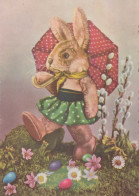 PÂQUES LAPIN Vintage Carte Postale CPSM #PBO371.FR - Easter
