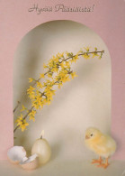 PÂQUES POULET ŒUF Vintage Carte Postale CPSM #PBP002.FR - Easter
