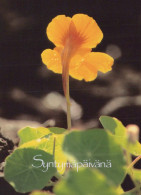 FLOWERS Vintage Ansichtskarte Postkarte CPSM #PAR571.DE - Flowers