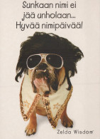 HUND Tier Vintage Ansichtskarte Postkarte CPSM #PAN834.DE - Hunde