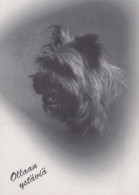 HUND Tier Vintage Ansichtskarte Postkarte CPSM #PAN966.DE - Hunde