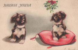 PERRO Vintage Tarjeta Postal CPSMPF #PKG926.ES - Hunde