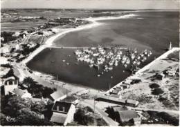 10229-ZE-17-Ile D'Oléron-LA COTINIERE-Le Port - Ile D'Oléron