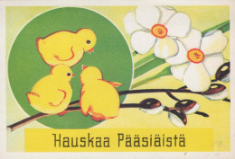 PASCUA POLLO Vintage Tarjeta Postal CPSM #PBO935.ES - Ostern