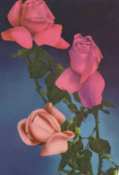 FIORI Vintage Cartolina CPSM #PAR872.IT - Fleurs