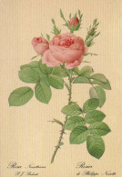 FIORI Vintage Cartolina CPSM #PAS293.IT - Flowers
