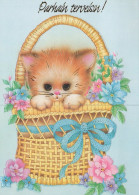 GATTO KITTY Animale Vintage Cartolina CPSM #PAM255.IT - Katzen