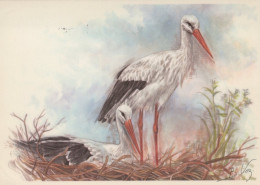 UCCELLO Animale Vintage Cartolina CPSM #PAM699.IT - Oiseaux