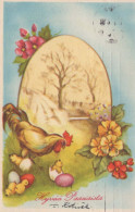 OSTERN HUHN EI Vintage Ansichtskarte Postkarte CPA #PKE066.DE - Pasen