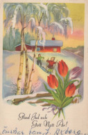 Neujahr Weihnachten GNOME Vintage Ansichtskarte Postkarte CPSMPF #PKD370.DE - New Year