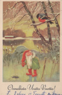 Neujahr Weihnachten GNOME Vintage Ansichtskarte Postkarte CPSMPF #PKD310.DE - New Year