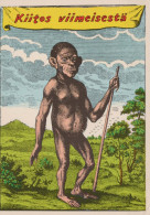 AFFE Tier Vintage Ansichtskarte Postkarte CPSM #PBR977.DE - Monkeys