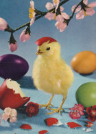 OSTERN HUHN EI Vintage Ansichtskarte Postkarte CPSM #PBP003.DE - Easter