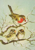 Neujahr Weihnachten VOGEL Vintage Ansichtskarte Postkarte CPSM #PBM743.DE - Nouvel An