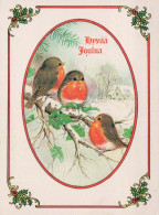 Neujahr Weihnachten VOGEL Vintage Ansichtskarte Postkarte CPSM #PBM617.DE - New Year