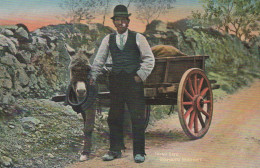 ASINO Animale Vintage CPA Cartolina #PAA086.IT - Donkeys