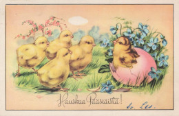 PASQUA POLLO UOVO Vintage Cartolina CPA #PKE385.IT - Easter