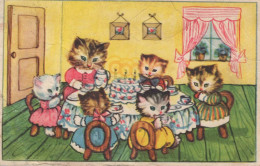 GATTO KITTY Animale Vintage Cartolina CPA #PKE759.IT - Katten