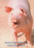 MAIALE Animale Vintage Cartolina CPSM #PBR763.IT - Schweine