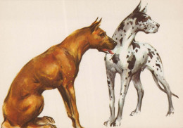 CANE Animale Vintage Cartolina CPSM #PBQ397.IT - Chiens