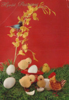 PASQUA POLLO UOVO Vintage Cartolina CPSM #PBP127.IT - Easter