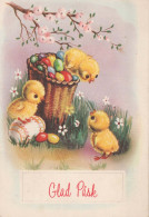 PASQUA POLLO UOVO Vintage Cartolina CPSM #PBO626.IT - Easter