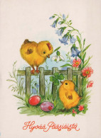 PASQUA POLLO UOVO Vintage Cartolina CPSM #PBP189.IT - Easter