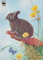 PASQUA CONIGLIO Vintage Cartolina CPSM #PBO435.IT - Easter