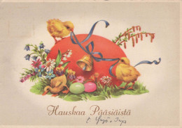 PASQUA POLLO Vintage Cartolina CPSM #PBO938.IT - Pâques