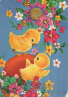 PASQUA POLLO UOVO Vintage Cartolina CPSM #PBO748.IT - Pâques