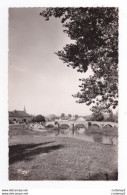 88 FREBECOURT Vers Neufchâteau N°102 La Meuse Et Le Vieux Pont - Neufchateau