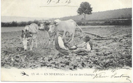 AGRICULTURE - 58 - EN NIVERNAIS - " LA VIE AUX CHAMPS " - ATTELAGE  - N° 18 - Circulé 1904 - Bon état - - Cultures