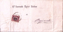 1881-SERVIZIO Sopr. C.2/10,00 (36) Isolato Su Piego - Marcophilia