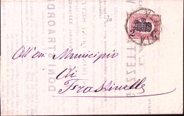 1880-SERVIZIO Sopr. C. 2/0,05 (30) Su Stampe Venezia (22.6) - Poststempel