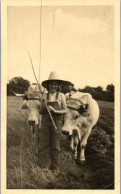 CP Carte Photo D'époque Photographie Vintage Enfant Attelage Boeufs Vacher  - Autres & Non Classés