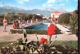 1978-FORTE Dei MARMI Piazzola Panoramica Viaggiata Affrancata Natale'77 Lire 120 - 1971-80: Poststempel