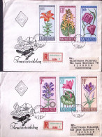 1966-Ungheria Protezione Natura Serie Cpl. (1801/6) Due Fdc Raccomandate Per Ita - FDC