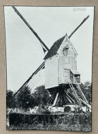 BEVERE - Windmolen / Moulin à Vent - 14,5 X 10,5 Cm. (REPRO PHOTO !) - Orte
