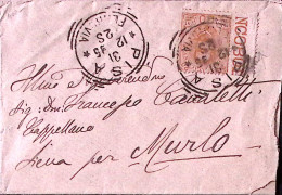 1895-effigie C.20 Bordo Di Foglio Su Busta Pisa (31.12) - Storia Postale