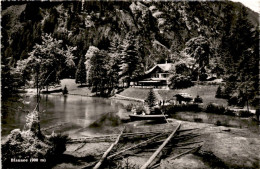 Blausee (900 M) (02941) * 13. 8. 1951 - Kandergrund