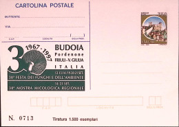 1997-BUDOIA Funghi E Ambiente Cartolina Postale IPZS Lire 750 Nuova - Entiers Postaux