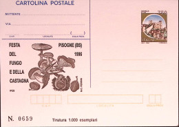1996-FUNGO E CASTAGNA Cartolina Postale IPZS Lire 750 Nuova - Stamped Stationery