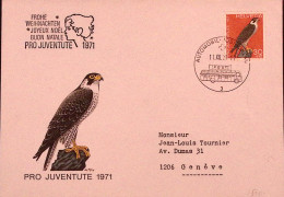 1971-Svizzera Pro Juventute F.30 Su Busta - Briefe U. Dokumente