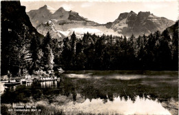 Blausee (900 M) Mit Doldenhorn (9487) * 5. 8. 1955 - Kandergrund