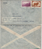 ARGENTINA 1948  AIRMAIL LETTER SENT FROM BUENOS AIRES TO CHATILLON - Briefe U. Dokumente