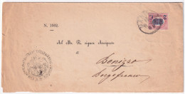 1880-SERVIZIO STATO Sopr. C.2/10,00 (36) Isolato Su Soprascritta - Storia Postale