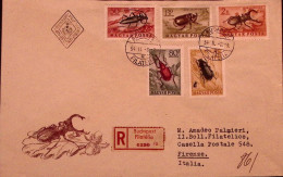 1954-Ungheria MAGYAR PA Insetti Serie Cpl. (160/9) Due Fdc Racc. Per Italia - FDC