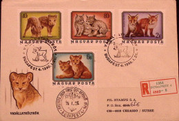 1976-Ungheria MAGYAR Cuccioli Di Animali Selvatici Serie Cpl. NON DENTELLATA (24 - FDC