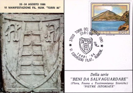 1986-TORRI DEL BENACO VI CONVEGNO FIL. NUMISM. Annullo Speciale (23.8) Su Cartol - 1981-90: Storia Postale