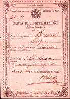 1863-CARTA DI LEGITTIMAZIONE Rilasciata Verona 16.3. - Historische Dokumente